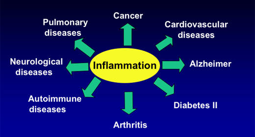 Inflammation Chart.jpg